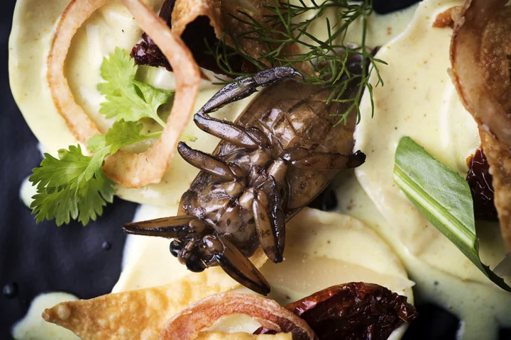 Edible Insects and Exotic Plants May Be the Future of Food