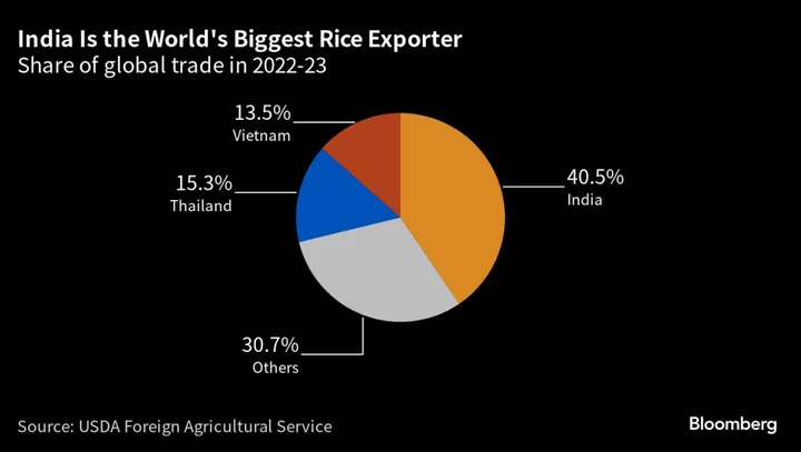 Rice Risks Hitting Decade-High as India Export Curbs Rock Market
