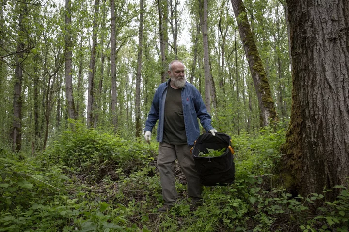 Here’s How One Person Makes a Living Foraging Mushrooms