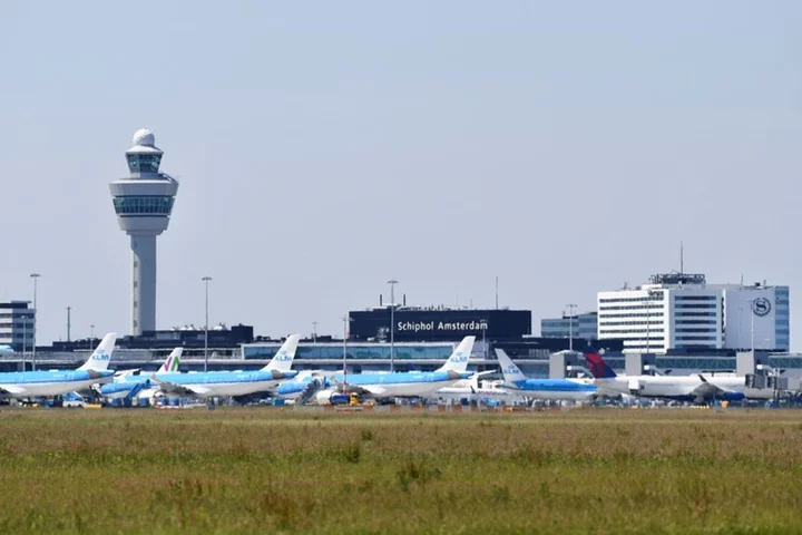 KLM, major airlines appeal against Schiphol flight curbs