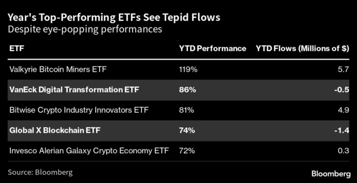 Crypto ETFs Are Year’s Best Performers But Only Lure $12 Million