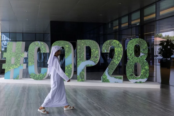Business key to COP28 success; needs to bring checkbook - special representative