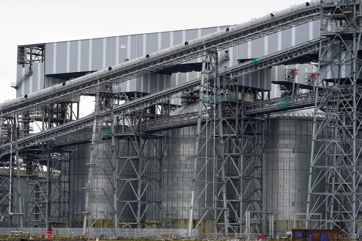 Macquarie’s Delayed UK Biomass Plant Seeks £150 Million