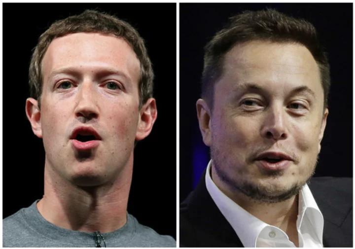 Tech billionaires' cage match? Musk throws down the gauntlet and Zuckerberg accepts challenge