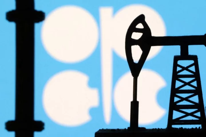 OPEC+ sees healthy growing global economy, despite inflation