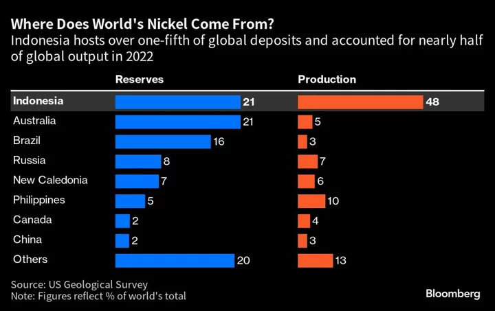 Indonesian Nickel Mine Takes Green Steps as Environmental Concerns Mount