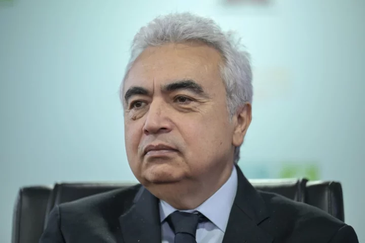 Global tensions risk clean energy progress: IEA chief
