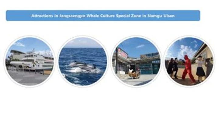 Jangsaengpo Whale Culture Zone in Namgu Ulsan: A Must-Visit for Whale Lovers