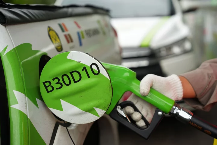 China Biofuel Exporters Vow Higher Standards After EU Criticism