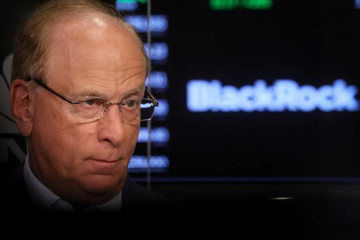 BlackRock's CEO says inflation remains sticky, expects more rate hikes