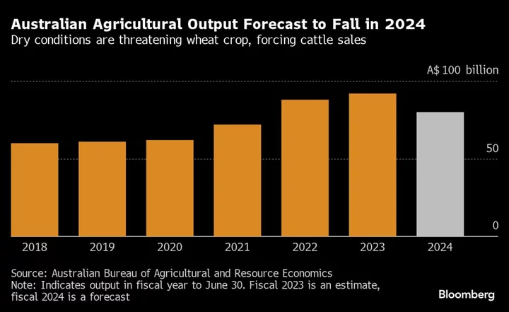 Australia Is Struggling to Meet Its Agriculture Goals Amid Climate Chaos