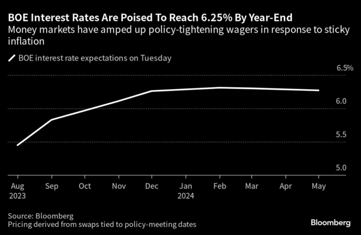 RBC BlueBay Bets BOE Rate Rises Are Overdone and Warns of Crisis Risks