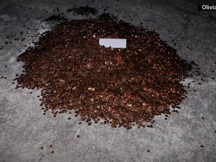 Autoshop owner who dumped 500 pounds of oily pennies on ex-employee's driveway is ordered to pay additional back wages