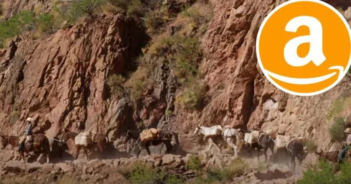 What is Phantom Ranch? Inside the oasis at the bottom of the Grand Canyon where even Amazon has to use mules