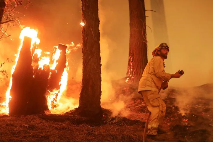 California regulator proposes $45 million penalty for PG&E over 2021 Dixie fire