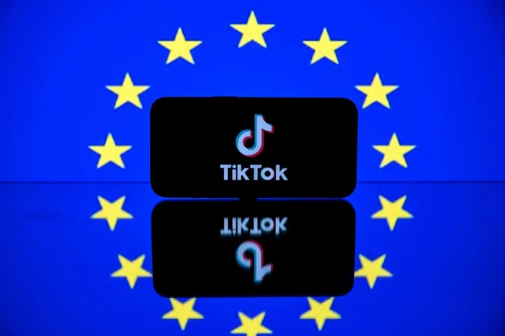Meta, TikTok challenge incoming EU digital market law