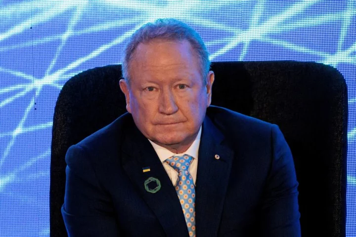 Andrew Forrest's Wyloo looks for more nickel deals as it seals Mincor buy