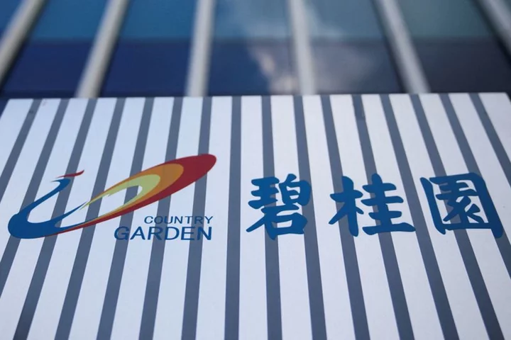China's Country Garden faces fresh debt payments, could announce restructuring soon