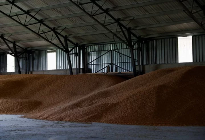 Why eastern Europe's grain producers face a perfect storm