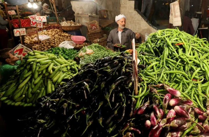 Egypt's headline inflation rises to record 36.5% in July