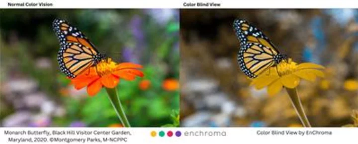 Montgomery Parks Helps Color Blind Visitors Experience Nature’s Colors with EnChroma Glasses