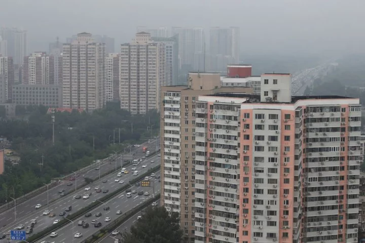 China's Jan-May property investment, sales fall at faster pace