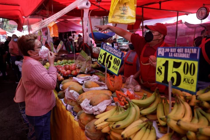 Mexican inflation continues downward trend in June