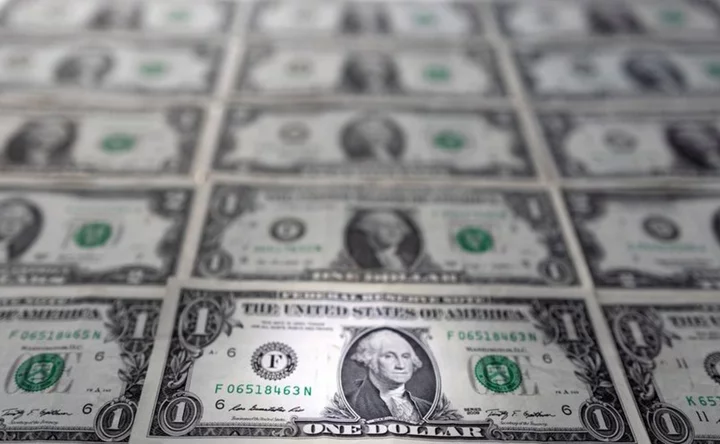 Dollar to remain steadfast in coming months, say FX strategists: Reuters poll