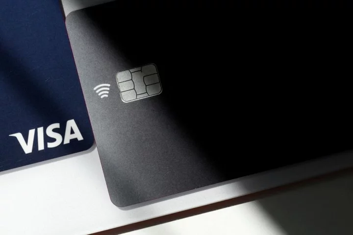 Visa's pricing of token technology under DOJ probe - Bloomberg News