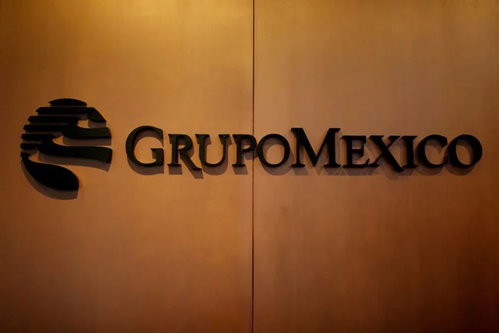 Shares of Grupo Mexico Transportes fall after Mexico takes over part of railway