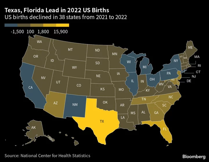 US Birthrate Dips Slightly in 2022 After Rebound in Prior Year