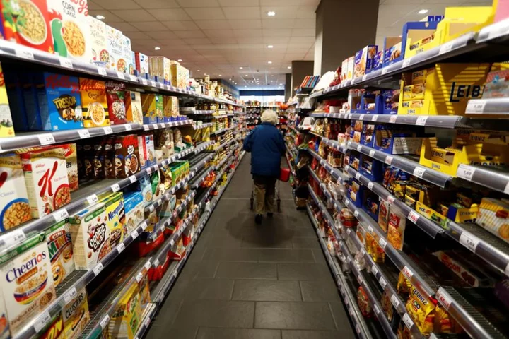 Euro zone consumers see lower inflation ahead - ECB poll