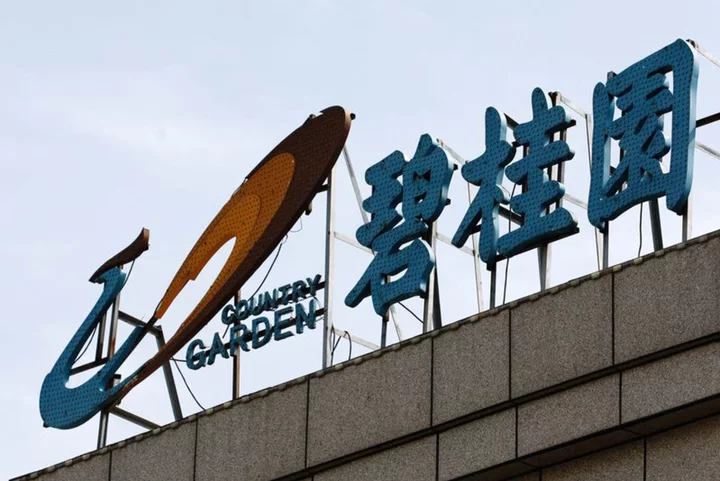Factbox-China property rescue: Who are Ping An Insurance Group and Country Garden?