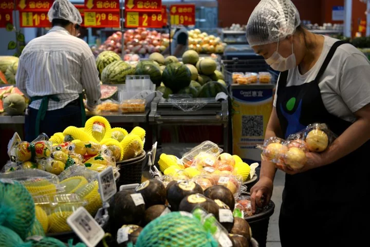 China's consumer prices fall for first time in 2 years