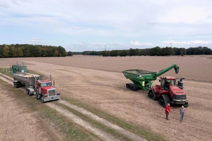 Louis Dreyfus to build Ohio soy crush plant, add to processing boom