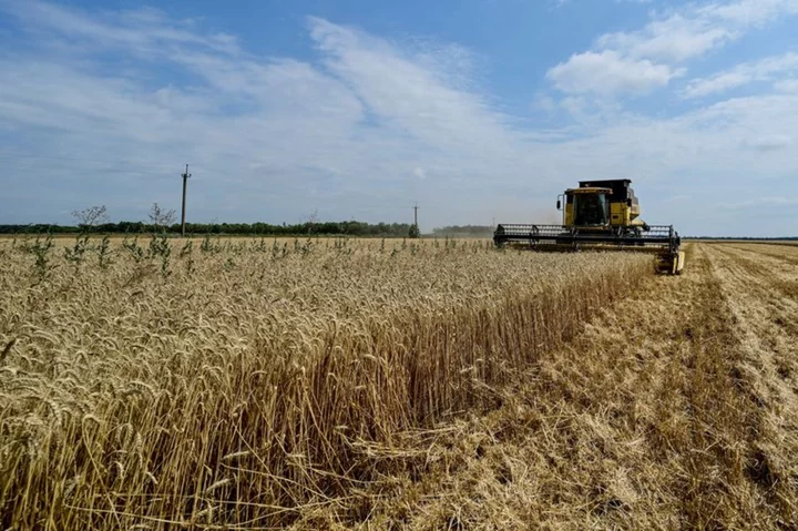 Ukraine's farmers pin hopes on export corridor as war cost mounts