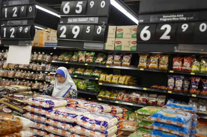 Malaysians urged not to panic-buy local rice after import prices rise substantially
