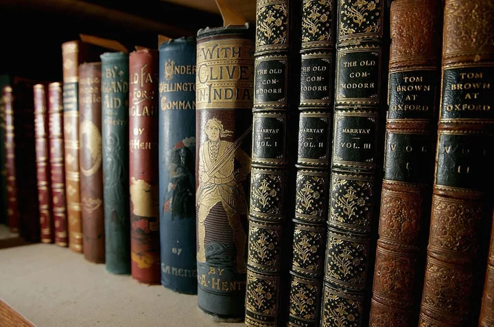 A giant online book collection Meta used to train its AI is gone over copyright issues