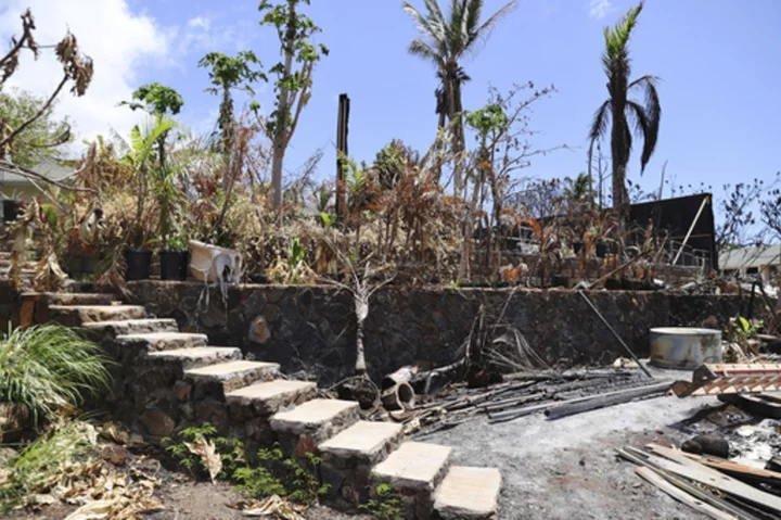 Native Hawaiian neighborhood survived Maui fire. Lahaina locals praise its cultural significance