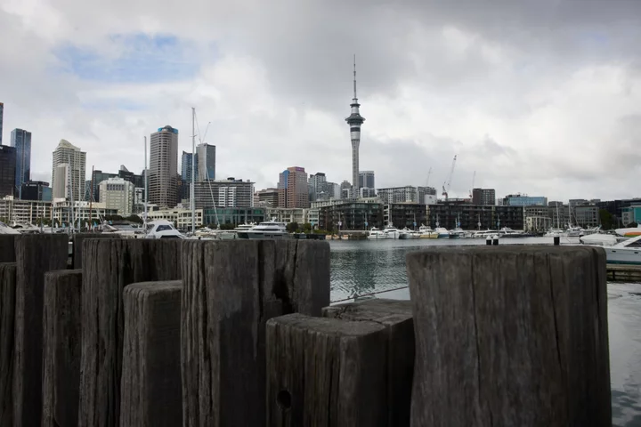 New Zealand Seeks More Skilled Immigrants Amid Record Inflow
