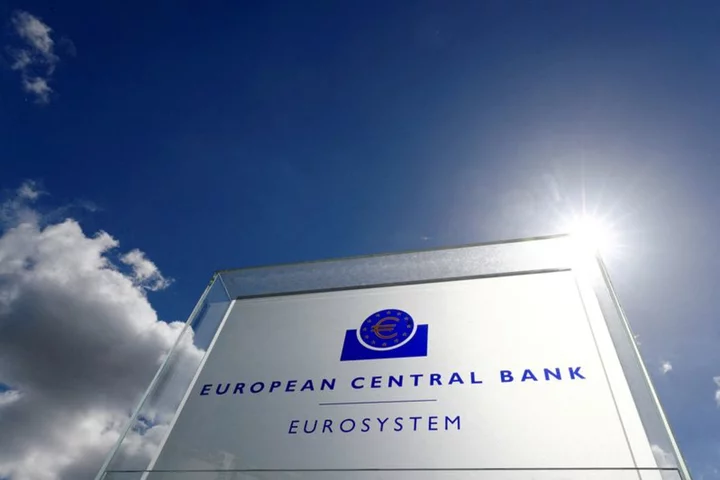 ECB backs draft EU rules for winding down smaller banks