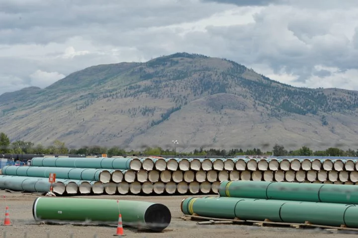 Canada's Trans Mountain pipe expansion to disrupt oil flow to US, boost prices