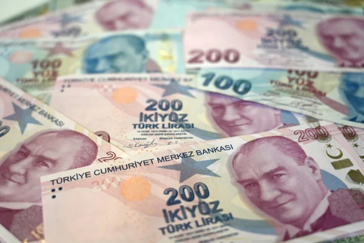 Turkey hikes interest rates but disappoints markets