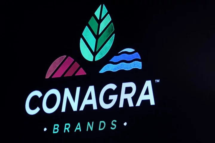 Conagra Brands forecasts dour sales as higher prices hit demand