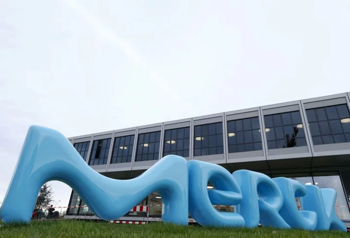 Merck KGaA says FY profit to fall to lower half of target range