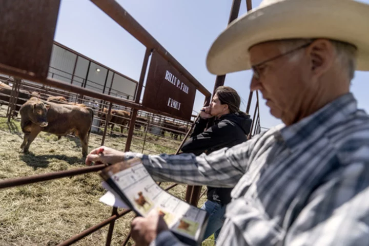 Beef is a way of life in Texas, but it's hard on the planet. This rancher thinks she can change that