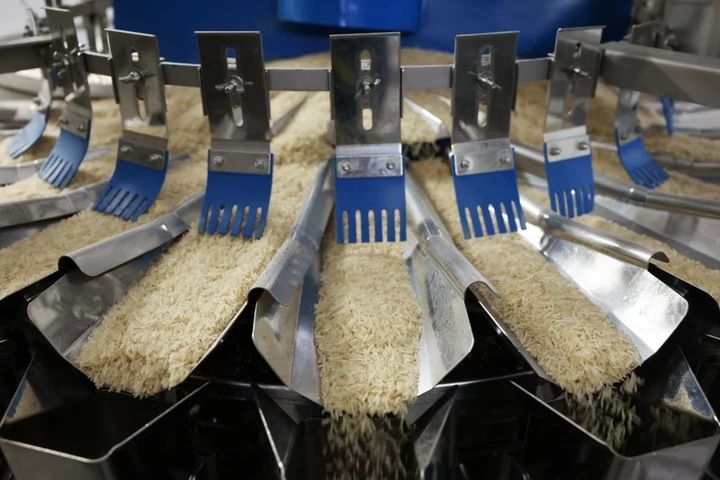 British Rice Industry Fears India Pact Will Kill Off Local Mills