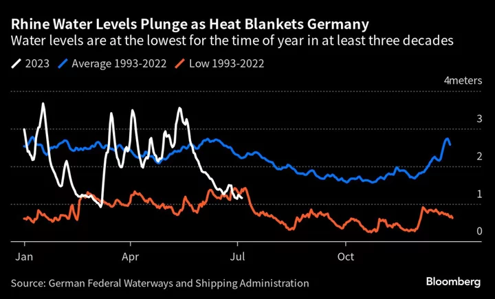 Rhine River Braces for Critical Summer as Heat Bakes Europe