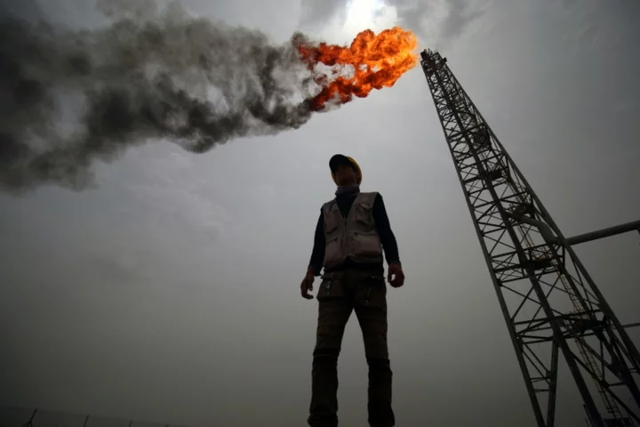 Iraq warned to end oil addiction to avoid 'intensive care'