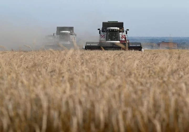 Ukraine's grain sector losses could top $3.2 billion in 2023 due to war